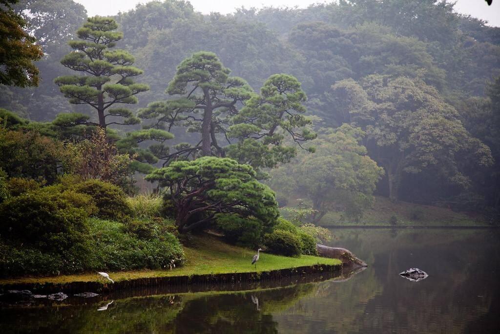 Tora Hotel Tokyo-Rikugienn 寅ホテル 六義園 A Zewnętrze zdjęcie